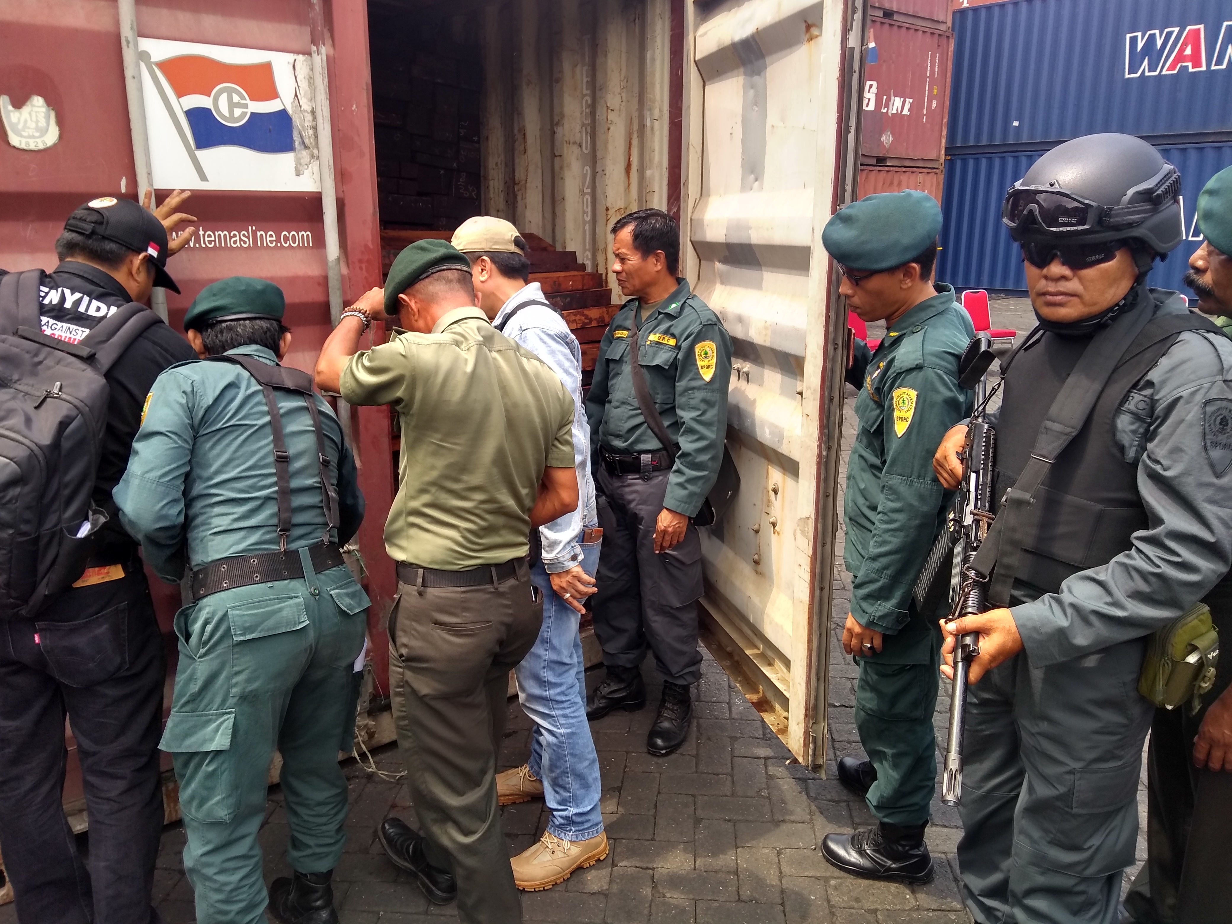 Gakkum LHK Bersama Lantamal VI Berhasil Mengamankan 57 Kontainer Kayu Ilegal dari Papua
